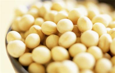 早上跑步之前吃什么,早晨跑步者必知四点 跑步减肥 第2张-瘦瘦减肥网 早上跑步之前吃什么,早晨跑步者必知四点 跑步减肥 第2张