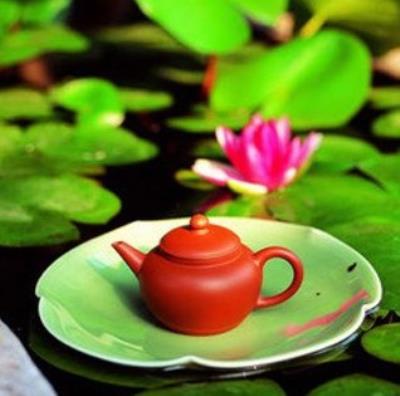 最科学有效的减肥方法，自制荷叶茶减肥法推荐 减肥饮品 第2张