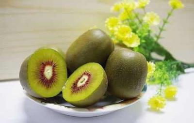 晚上吃猕猴桃会胖吗,晚上巧吃猕猴桃能减肥 饮食减肥 第6张-瘦瘦减肥网 晚上吃猕猴桃会胖吗,晚上巧吃猕猴桃能减肥 饮食减肥 第6张