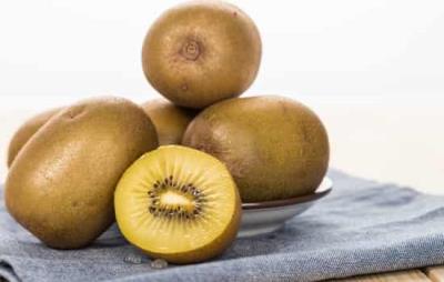 晚上吃猕猴桃会胖吗,晚上巧吃猕猴桃能减肥 饮食减肥 第3张-瘦瘦减肥网 晚上吃猕猴桃会胖吗,晚上巧吃猕猴桃能减肥 饮食减肥 第3张