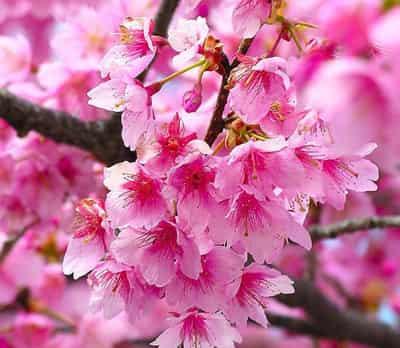 夏季另类科学快速减肥法,抛弃陈旧想法投入减肥大队 快速减肥 第1张-瘦瘦减肥网 夏季另类科学快速减肥法,抛弃陈旧想法投入减肥大队 快速减肥 第1张