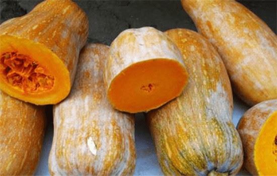 秋季减肥吃什么蔬菜,这六种蔬菜怎么吃也不胖 饮食减肥 第4张-瘦瘦减肥网 秋季减肥吃什么蔬菜,这六种蔬菜怎么吃也不胖 饮食减肥 第4张