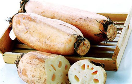 秋季减肥吃什么蔬菜,这六种蔬菜怎么吃也不胖 饮食减肥 第6张-瘦瘦减肥网 秋季减肥吃什么蔬菜,这六种蔬菜怎么吃也不胖 饮食减肥 第6张