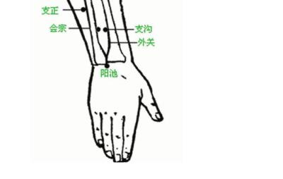 针灸减肥都扎哪里，并非随便哪胖扎哪 针灸减肥 第6张