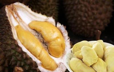 吃榴莲会发胖吗,想不发胖一定得适量 饮食减肥 第6张-瘦瘦减肥网 吃榴莲会发胖吗,想不发胖一定得适量 饮食减肥 第6张