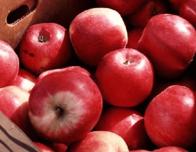 三日苹果减肥法，坚持三天瘦8斤不是梦 减肥方法 第1张