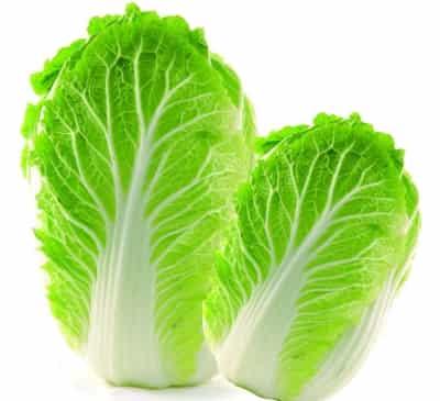 水煮大白菜减肥法,穷人懒人一周瘦8斤食谱 懒人减肥 第1张-瘦瘦减肥网 水煮大白菜减肥法,穷人懒人一周瘦8斤食谱 懒人减肥 第1张