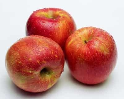 夏天苦瓜快速减肥法,三日苹果缩胃减肥法 快速减肥 第2张-瘦瘦减肥网 夏天苦瓜快速减肥法,三日苹果缩胃减肥法 快速减肥 第2张