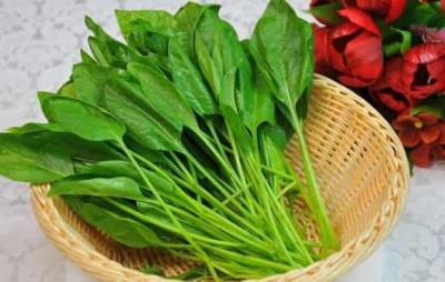 燕麦不能和什么一起吃，三大食物与燕麦相克 饮食减肥 第1张