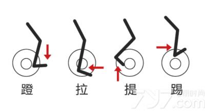 骑动感单车会有肌肉吗，不想肌肉有丝毫变粗要这样做 骑车减肥 第2张