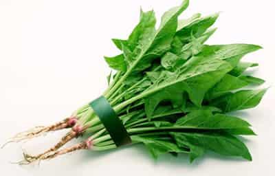 快速健康科学减肥食谱,哪些食物有利于减肥 减肥食谱 第2张-瘦瘦减肥网 快速健康科学减肥食谱,哪些食物有利于减肥 减肥食谱 第2张