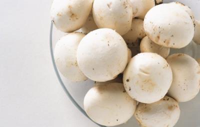 吃蘑菇会胖吗,教你巧吃蘑菇餐减肥 饮食减肥 第2张-瘦瘦减肥网 吃蘑菇会胖吗,教你巧吃蘑菇餐减肥 饮食减肥 第2张