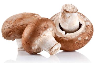 吃蘑菇会胖吗,教你巧吃蘑菇餐减肥 饮食减肥 第3张-瘦瘦减肥网 吃蘑菇会胖吗,教你巧吃蘑菇餐减肥 饮食减肥 第3张