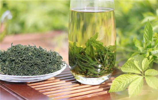 绞股蓝茶减肥怎么喝效果好 减肥饮品 第4张