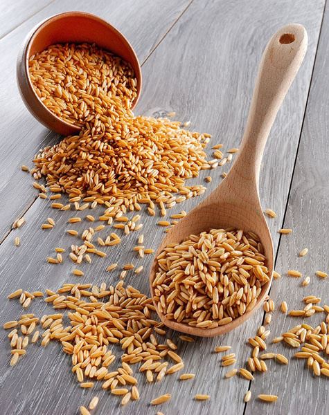 燕麦减肥效果好吗,看清燕麦减肥法 减肥方法 第1张-瘦瘦减肥网 燕麦减肥效果好吗,看清燕麦减肥法 减肥方法 第1张