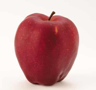 3377极端魔鬼减肥法，掉肉60斤绝不成问题 减肥方法 第2张