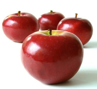 3377极端魔鬼减肥法，掉肉60斤绝不成问题 减肥方法 第5张