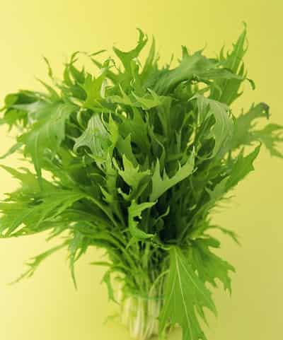 3377极端魔鬼减肥法，掉肉60斤绝不成问题 减肥方法 第6张