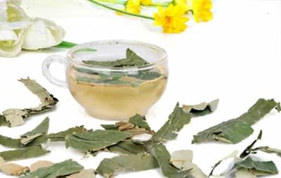 减肥果泡茶喝多久能瘦，长期坚持最关键 减肥饮品 第3张