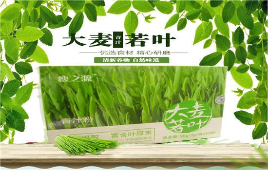 大麦若叶青汁怎么喝 减肥 第1张