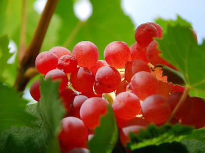 女性如何利用经期减肥,生理期减肥法轻松“享瘦” 经期减肥 第2张-瘦瘦减肥网 女性如何利用经期减肥,生理期减肥法轻松“享瘦” 经期减肥 第2张