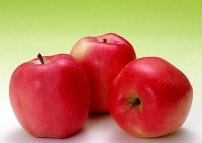 懒人也能迅速减肥?春季减肥有妙招 懒人减肥 第1张-瘦瘦减肥网 懒人也能迅速减肥?春季减肥有妙招 懒人减肥 第1张