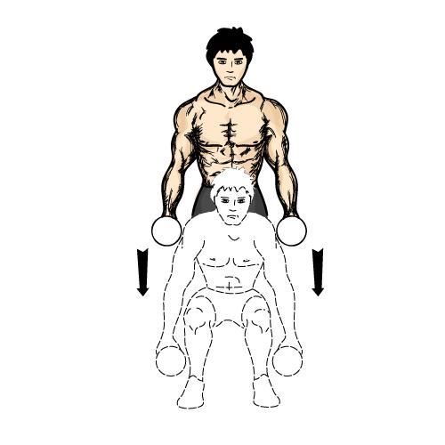 深蹲每天做多少个合适(深蹲一天做多少壮阳) 减肥 第1张-瘦瘦减肥网 深蹲每天做多少个合适(深蹲一天做多少壮阳) 减肥 第1张