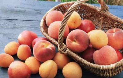 吃桃子会胖吗，桃子选对时间吃减肥效果棒 饮食减肥 第7张