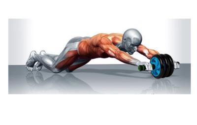 腹肌轮可以练哪里的肌肉,主攻6大肌肉部位 减肚子 第1张-瘦瘦减肥网 腹肌轮可以练哪里的肌肉,主攻6大肌肉部位 减肚子 第1张