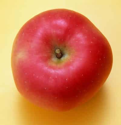 三日苹果减肥法,快速甩脂去油腻不反弹 减肥方法 第4张-瘦瘦减肥网 三日苹果减肥法,快速甩脂去油腻不反弹 减肥方法 第4张