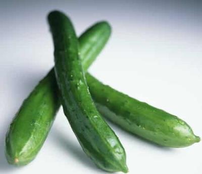 秋季吃那些食物可以减肥,十种减肥食物库解决肥胖问题 关于肥胖 第10张-瘦瘦减肥网 秋季吃那些食物可以减肥,十种减肥食物库解决肥胖问题 关于肥胖 第10张