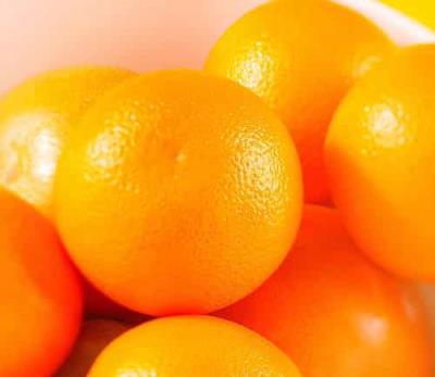 秋季吃那些食物可以减肥,十种减肥食物库解决肥胖问题 关于肥胖 第2张-瘦瘦减肥网 秋季吃那些食物可以减肥,十种减肥食物库解决肥胖问题 关于肥胖 第2张