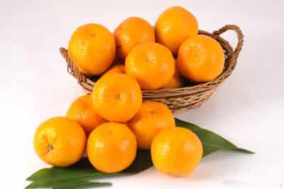 七款自制减肥果汁饮品,教你健康科学消脂减肥 减肥 第3张-瘦瘦减肥网 七款自制减肥果汁饮品,教你健康科学消脂减肥 减肥 第3张