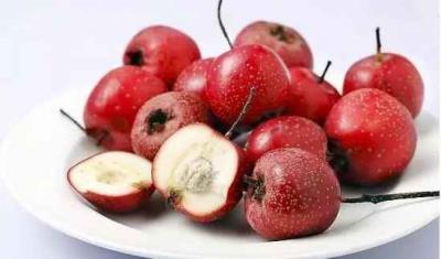 减肥食谱一周瘦10斤,几款减肥消脂神物谁吃谁瘦 减肥食谱 第4张-瘦瘦减肥网 减肥食谱一周瘦10斤,几款减肥消脂神物谁吃谁瘦 减肥食谱 第4张