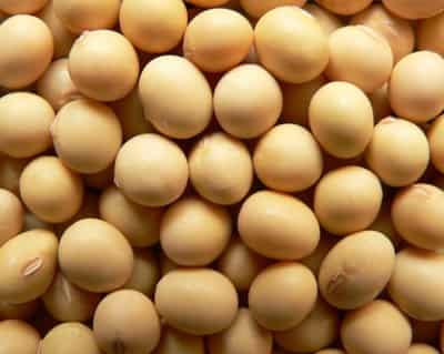 八种丰胸减肥食物,营养美味健康快速甩肉 丰胸 第1张-瘦瘦减肥网 八种丰胸减肥食物,营养美味健康快速甩肉 丰胸 第1张