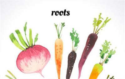 怎么减肥效果快又好,专治懒癌星人的减肥攻略 减肥 第1张-瘦瘦减肥网 怎么减肥效果快又好,专治懒癌星人的减肥攻略 减肥 第1张