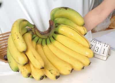 牛奶or豆浆香蕉早餐减肥法,香蕉新吃法让你瘦到尖叫 饮食减肥 第5张-瘦瘦减肥网 牛奶or豆浆香蕉早餐减肥法,香蕉新吃法让你瘦到尖叫 饮食减肥 第5张