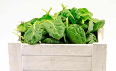 冬季减肥食谱推荐,冬季减肥多吃这6种让你远离肥胖 减肥食谱 第1张-瘦瘦减肥网 冬季减肥食谱推荐,冬季减肥多吃这6种让你远离肥胖 减肥食谱 第1张