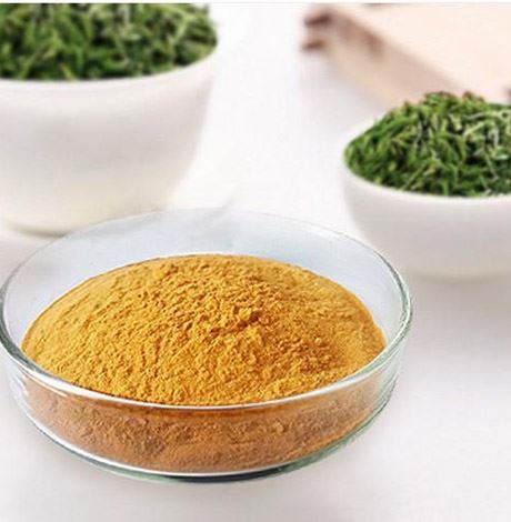 茶多酚对身体的伤害,茶多酚的2个危害要小心 减肥饮品 第2张-瘦瘦减肥网 茶多酚对身体的伤害,茶多酚的2个危害要小心 减肥饮品 第2张