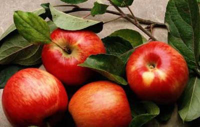 苹果饭前吃好还是饭后吃好，养生又减肥的苹果得吃对时间 饮食减肥 第6张