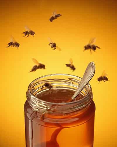 办公室蜂蜜水三日减肥法，快速排毒塑身平复小肚腩 减肚子 第2张