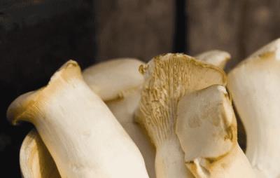 运动减肥吃什么好，告诉你这样吃减脂身体线条更好 运动减肥 第1张