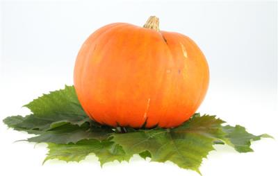 脾虚引起的肥胖怎么减肥,脾虚调理好会瘦吗 关于肥胖 第2张-瘦瘦减肥网 脾虚引起的肥胖怎么减肥,脾虚调理好会瘦吗 关于肥胖 第2张