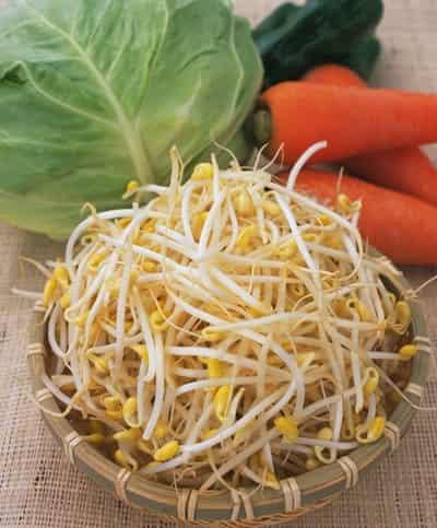 一个月瘦10斤快速减肥食谱,健康减肥不反弹 快速减肥 第4张-瘦瘦减肥网 一个月瘦10斤快速减肥食谱,健康减肥不反弹 快速减肥 第4张