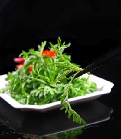 一个月瘦10斤快速减肥食谱,健康减肥不反弹 快速减肥 第2张-瘦瘦减肥网 一个月瘦10斤快速减肥食谱,健康减肥不反弹 快速减肥 第2张