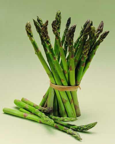 胖妞必吃的5种快速减肥食谱,让你越吃越瘦 快速减肥 第2张-瘦瘦减肥网 胖妞必吃的5种快速减肥食谱,让你越吃越瘦 快速减肥 第2张