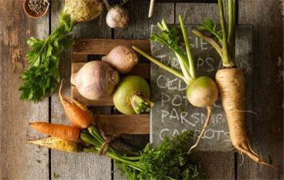 深蹲一天做多少减肥,运动减肥重点在有氧+无氧+饮食 运动减肥 第1张-瘦瘦减肥网 深蹲一天做多少减肥,运动减肥重点在有氧+无氧+饮食 运动减肥 第1张