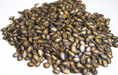 吃西瓜子会胖吗,嗑多西瓜子容易长胖 饮食减肥 第3张-瘦瘦减肥网 吃西瓜子会胖吗,嗑多西瓜子容易长胖 饮食减肥 第3张