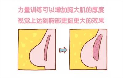 运动减肥胸部会变小吗，不减胸的法宝是这个 运动减肥 第2张