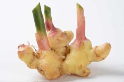 夏季减肥食谱推荐,10种让女人越吃越漂亮的美容养颜的食物 减肥食谱 第7张-瘦瘦减肥网 夏季减肥食谱推荐,10种让女人越吃越漂亮的美容养颜的食物 减肥食谱 第7张